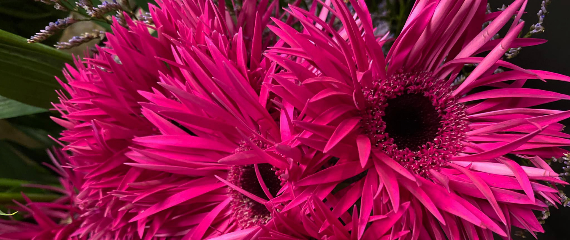 /media/hizbdxt5/boeket-bloemen-bestellen-online-zakelijk-particulier_flwrs-reeuwijk-01_darker.jpg